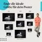 Preview: Finde die perfekte Größe: Schwanenküken, schwarz-weiß, Wasser. Preview: Finde die perfekte Größe: Schwanenküken, schwarz-weiß, Wasser.