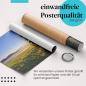 Preview: Gerolltes Poster "Sonnenlicht & Wald". Wald & Stimmung, sicher verpackt.