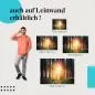 Preview: Sonnenlicht im Wald | Postereck 3873 Preview: Sonnenlicht im Wald | Postereck 3873
