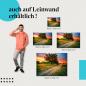 Preview: Landschaft, Leinwandbild: Feldweg, Sonnenuntergang, Baum.