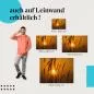 Preview: Gräser: Leinwandbild. Sonnenuntergang, Silhouetten, Ruhe. Preview: Gräser: Leinwandbild. Sonnenuntergang, Silhouetten, Ruhe.