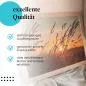 Preview: Leinwandbild "Sonnenuntergang": Gras, warmes Licht - idyllisch & stimmungsvoll. Preview: Leinwandbild "Sonnenuntergang": Gras, warmes Licht - idyllisch & stimmungsvoll.