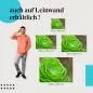 Preview: Sukkulente: Leinwandbild. Makro, grün, symmetrisch. Preview: Sukkulente: Leinwandbild. Makro, grün, symmetrisch.