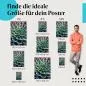 Preview: Sukkulente, Poster: Grün-gelb, rosa Spitzen, Nahaufnahme. Preview: Sukkulente, Poster: Grün-gelb, rosa Spitzen, Nahaufnahme.
