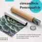 Preview: Gerolltes Poster "Sukkulenten". Pflanzen & Muster, sicher verpackt. Preview: Gerolltes Poster "Sukkulenten". Pflanzen & Muster, sicher verpackt.