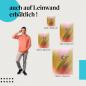 Preview: Tautropfen: Leinwandbild. Sonnenaufgang, Farbenspiel, Makro.