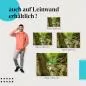 Preview: Leinwandbild "Versteckter Dschungelpool": Reise & Thailand Preview: Leinwandbild "Versteckter Dschungelpool": Reise & Thailand