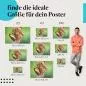 Preview: Finde die ideale Größe: Vogelküken, Nest, Elternvogel. Preview: Finde die ideale Größe: Vogelküken, Nest, Elternvogel.