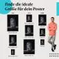 Preview: Waldohreule, Poster: Blick, Federn. Preview: Waldohreule, Poster: Blick, Federn.
