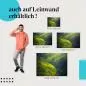 Preview: Üppiges Grünes Tal | Postereck 1660 Preview: Üppiges Grünes Tal | Postereck 1660