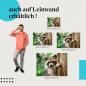 Preview: Waschbär: Leinwandbild. Neugieriges Jungtier, niedlich.