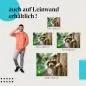 Preview: Neugieriger Waschbär | Postereck 2954 Preview: Neugieriger Waschbär | Postereck 2954