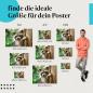 Preview: Waschbär, Poster: Jungtier, Baumstamm, niedlich.