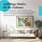 Preview: Neugieriger Waschbär | Postereck 2954 Preview: Neugieriger Waschbär | Postereck 2954