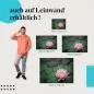 Preview: Rosa Wasserlilie | Postereck 2552 Preview: Rosa Wasserlilie | Postereck 2552