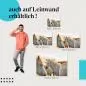 Preview: Pferde am Ufer | Postereck 3512 Preview: Pferde am Ufer | Postereck 3512