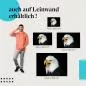Preview: Weißkopfseeadler: Leinwandbild. Nahaufnahme, schwarz. Preview: Weißkopfseeadler: Leinwandbild. Nahaufnahme, schwarz.