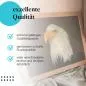 Preview: Gerahmtes Bild "Weißkopfseeadler". Vogelporträt, schwarzer Hintergrund. Preview: Gerahmtes Bild "Weißkopfseeadler". Vogelporträt, schwarzer Hintergrund.