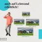 Preview: Wildpferde: Leinwandbild. Wiese, Berge, Freiheit. Preview: Wildpferde: Leinwandbild. Wiese, Berge, Freiheit.