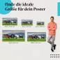 Preview: Wildpferde, Poster: Wiese, Berge, Freiheit. Preview: Wildpferde, Poster: Wiese, Berge, Freiheit.