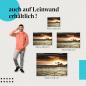 Preview: Leinwandbild "Einsamer Baum": Die Weite der Wüste