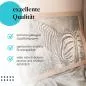 Preview: Zebra: Eleganz der Natur | Postereck 1183 Preview: Zebra: Eleganz der Natur | Postereck 1183