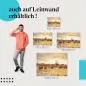 Preview: Zebraherde in der Abendsonne | Postereck 1248 Preview: Zebraherde in der Abendsonne | Postereck 1248