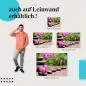Preview: Zen-Steine & Orchidee | Postereck 2979 Preview: Zen-Steine & Orchidee | Postereck 2979