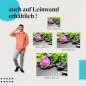 Preview: Zen-Garten: Orchidee & Bambus | Postereck 1231 Preview: Zen-Garten: Orchidee & Bambus | Postereck 1231