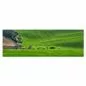 Preview: Grüne Hügel, blühende Bäume, klarer Himmel - ruhige & friedliche Landschaft. Preview: Grüne Hügel, blühende Bäume, klarer Himmel - ruhige & friedliche Landschaft.