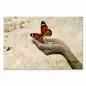 Preview: Ein farbenfroher Schmetterling auf einer Hand - ein Bild von Freiheit und Zerbrechlichkeit. Preview: Ein farbenfroher Schmetterling auf einer Hand - ein Bild von Freiheit und Zerbrechlichkeit.