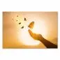 Preview: Hand, Schmetterling, andere fliegen im Sonnenuntergang - Hoffnung & Neuanfang. Preview: Hand, Schmetterling, andere fliegen im Sonnenuntergang - Hoffnung & Neuanfang.
