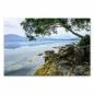 Preview: Ein See mit einem Baum am Ufer, im Hintergrund eine Bergkette. Preview: Ein See mit einem Baum am Ufer, im Hintergrund eine Bergkette.