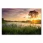 Preview: Baum am Seeufer, Sonnenuntergang, goldenes Licht, Vogel über dem Wasser. Preview: Baum am Seeufer, Sonnenuntergang, goldenes Licht, Vogel über dem Wasser.