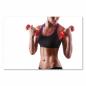 Preview: Frau mit Sixpack trainiert Armmuskulatur mit roten Hanteln - Fitness & Disziplin.