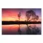 Preview: Bäume spiegeln sich im Wasser, der Himmel erstrahlt in leuchtenden Farben – ein farbenfroher Sonnenaufgang am Fluss. Preview: Bäume spiegeln sich im Wasser, der Himmel erstrahlt in leuchtenden Farben – ein farbenfroher Sonnenaufgang am Fluss.