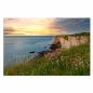 Preview: Sonnenuntergang, Steilküste von Étretat, Felsenbogen "Porte d'Aval", rosa Blüten.