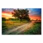 Preview: Feldweg durch grüne Landschaft, Sonnenuntergang am Horizont, Baum.