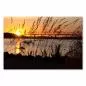 Preview: Wärme und Ruhe: Der goldene Sonnenuntergang am Fluss versprüht pure Harmonie. Preview: Wärme und Ruhe: Der goldene Sonnenuntergang am Fluss versprüht pure Harmonie.