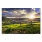 Preview: Panorama: Sonnenuntergang über grünen Hügeln, Zaun & Blumenwiesen. Preview: Panorama: Sonnenuntergang über grünen Hügeln, Zaun & Blumenwiesen.