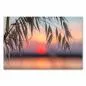 Preview: Sonnenuntergang, warme Farben, Gräser werfen Schatten auf Wasseroberfläche. Preview: Sonnenuntergang, warme Farben, Gräser werfen Schatten auf Wasseroberfläche.