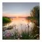 Preview: Rosa Blüten im Vordergrund, Sonnenuntergang am See, sanfte Farben, romantisch. Preview: Rosa Blüten im Vordergrund, Sonnenuntergang am See, sanfte Farben, romantisch.