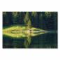 Preview: Einsamer Baum am Ufer, Spiegelung im Bergsee, grüne Wälder, friedliche Stimmung.