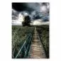 Preview: Steg durch Schilfgras, einsamer Baum, dramatischer Himmel - mystische Stimmung. Preview: Steg durch Schilfgras, einsamer Baum, dramatischer Himmel - mystische Stimmung.
