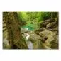 Preview: Ein versteckter Pool im Dschungel mit Wasserfall – ein idyllisches Motiv voller Ruhe. Preview: Ein versteckter Pool im Dschungel mit Wasserfall – ein idyllisches Motiv voller Ruhe.
