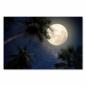 Preview: Vollmond über Palmen & Sternen, Milchstraße im Hintergrund.