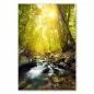 Preview: Bach durch Wald, klares Wasser, grünes Blätterdach - Ruhe & Entspannung. Preview: Bach durch Wald, klares Wasser, grünes Blätterdach - Ruhe & Entspannung.