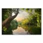 Preview: Fluss schlängelt sich durch Wald, Sonnenuntergang, goldene Baumwipfel, magisch. Preview: Fluss schlängelt sich durch Wald, Sonnenuntergang, goldene Baumwipfel, magisch.