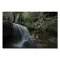 Preview: Kleiner Wasserfall plätschert über moosbewachsene Felsen in einem üppigen Wald, eine mystische Atmosphäre. Preview: Kleiner Wasserfall plätschert über moosbewachsene Felsen in einem üppigen Wald, eine mystische Atmosphäre.