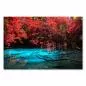 Preview: Ein See mit strahlend türkisem Wasser liegt versteckt im Dschungel. Rote Blätter fallen von den Bäumen und erzeugen eine mystische, fast schon magische Atmosphäre. Preview: Ein See mit strahlend türkisem Wasser liegt versteckt im Dschungel. Rote Blätter fallen von den Bäumen und erzeugen eine mystische, fast schon magische Atmosphäre.